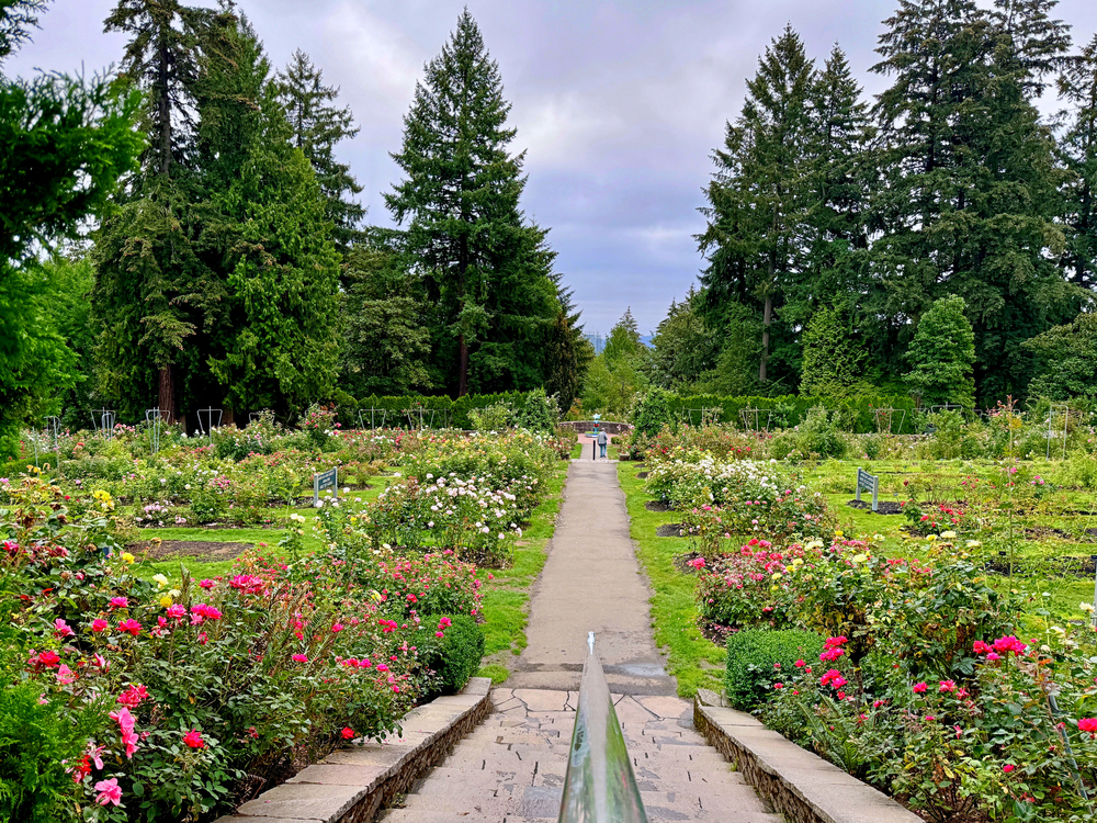The Rose City Rallies: Portland’s Return to Multifamily Relevance (7/23/25)